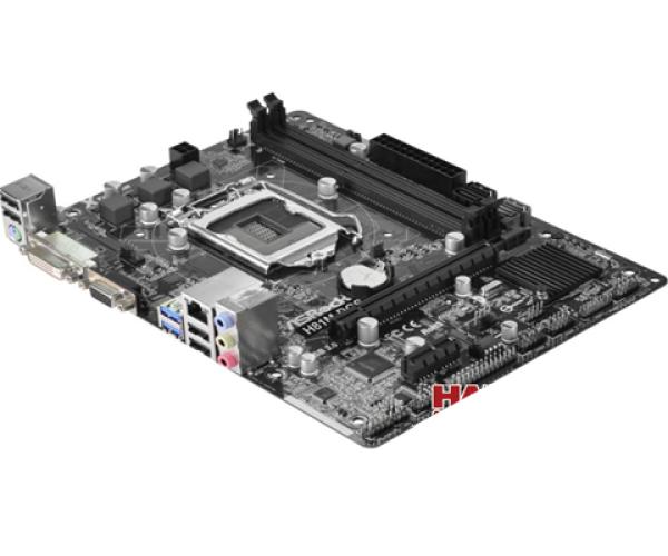 Mainboard ASROCK H81M-DGS                   