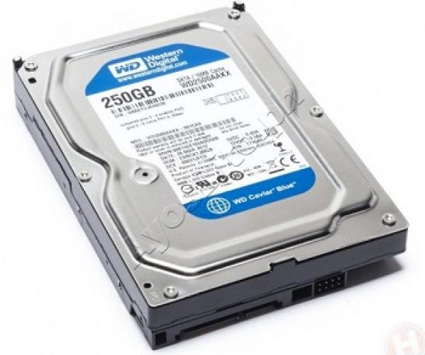 Western 500GB SATA3 Blue bh 2 năm - c&oacute; VAT          